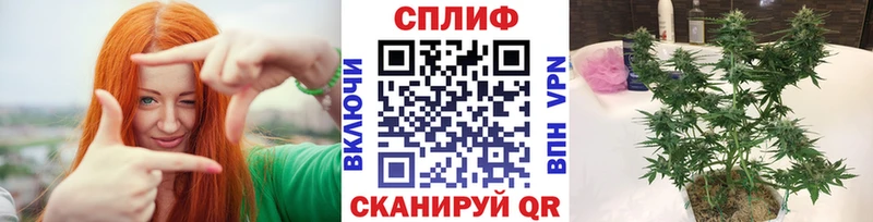 Виды наркоты Орехово-Зуево MDMA  АМФ  ГАШИШ  APVP  Каннабис 