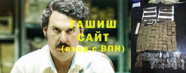 ECSTASY Бородино