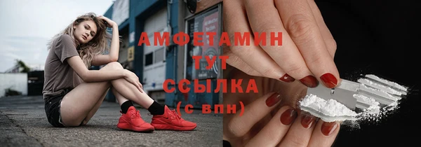 ECSTASY Бородино