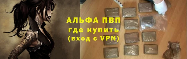 ECSTASY Бородино