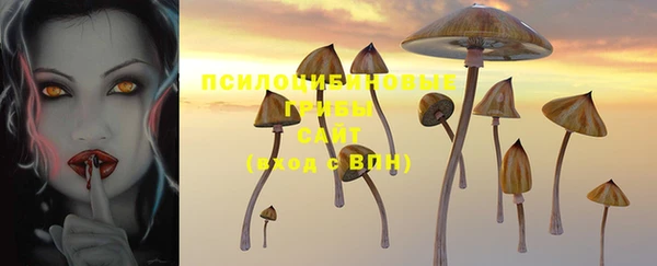 ешки Бронницы