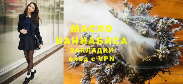 ECSTASY Бородино