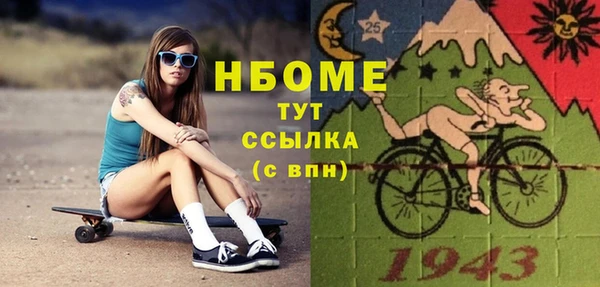 ECSTASY Бородино
