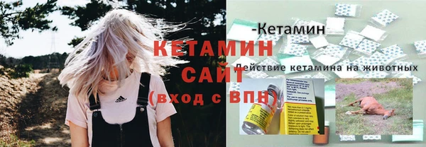 ECSTASY Бородино