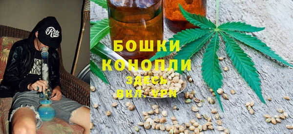 ECSTASY Бородино