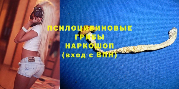 ешки Бронницы