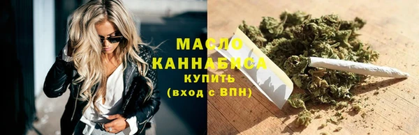 ECSTASY Бородино