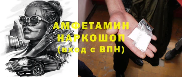 ECSTASY Бородино