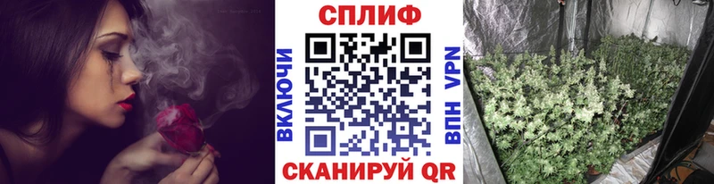 МАРИХУАНА Amnesia  купить закладку  Орехово-Зуево 
